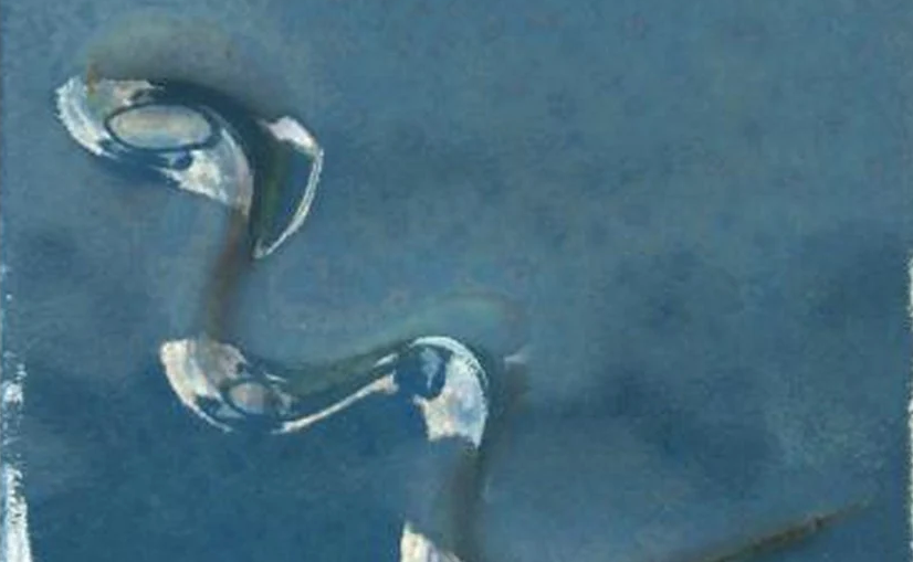 The Magic Behind Glazing: How Your Favourite Pieces Get Their Shine