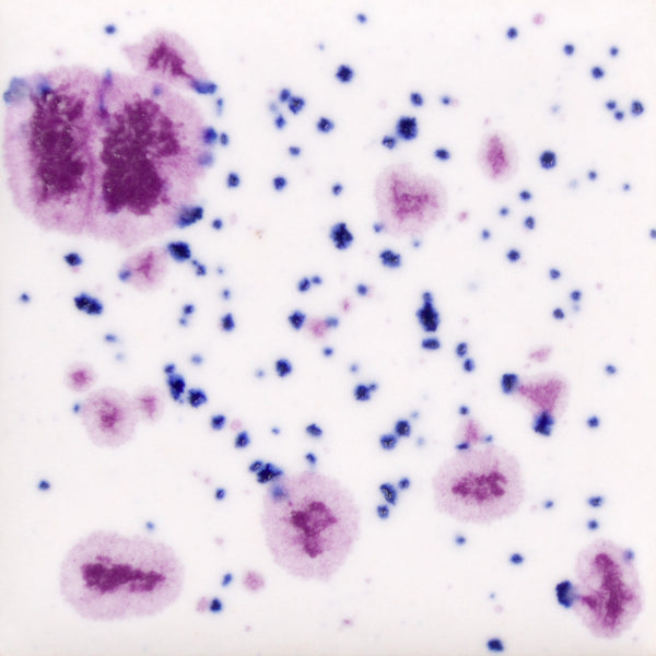 Mayco Jungle Gem Crystal Glaze - 118ml and 473ml - CLEARANCE!