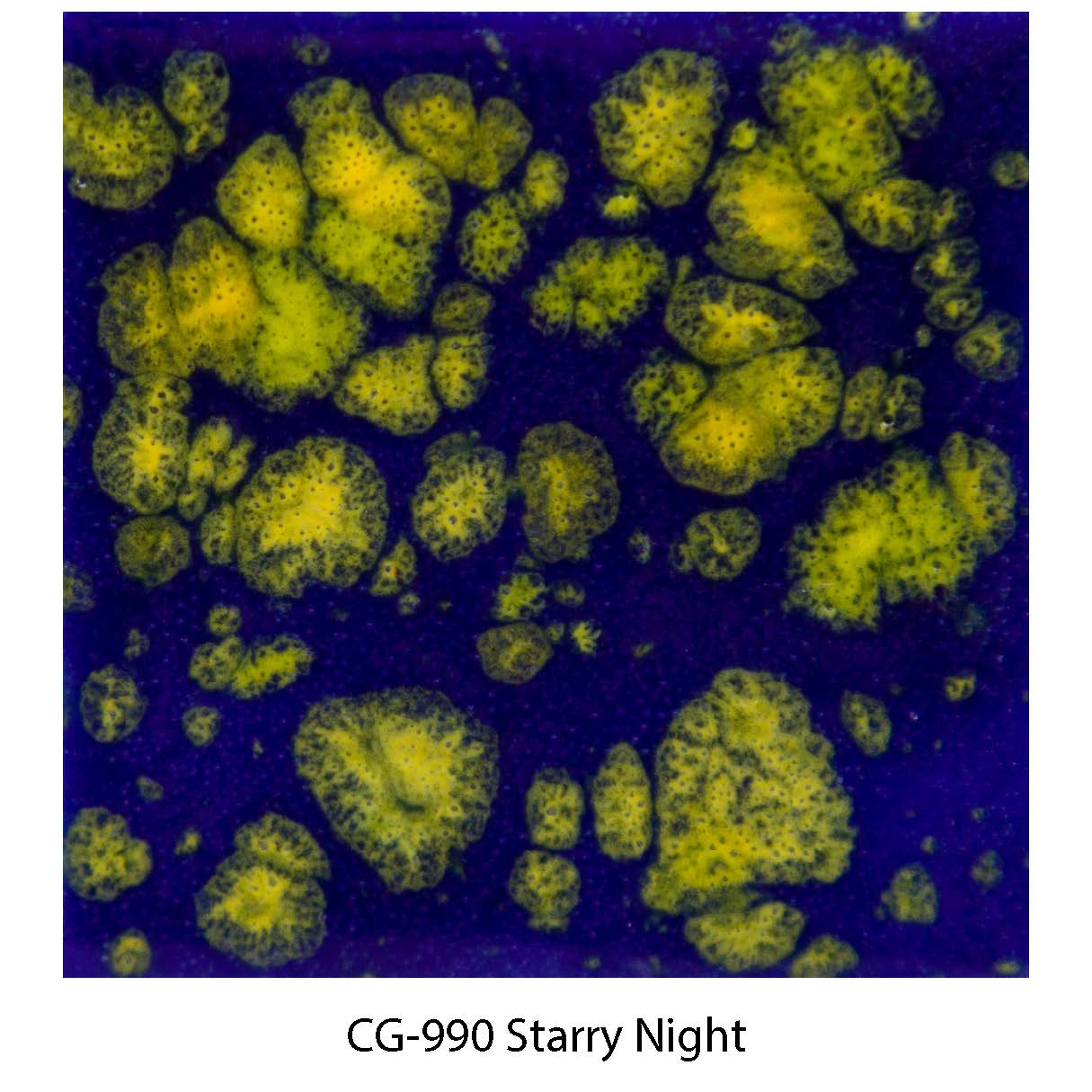 CG990 Starry Night Mayco Jungle Gem Crystal Glaze - 118ml