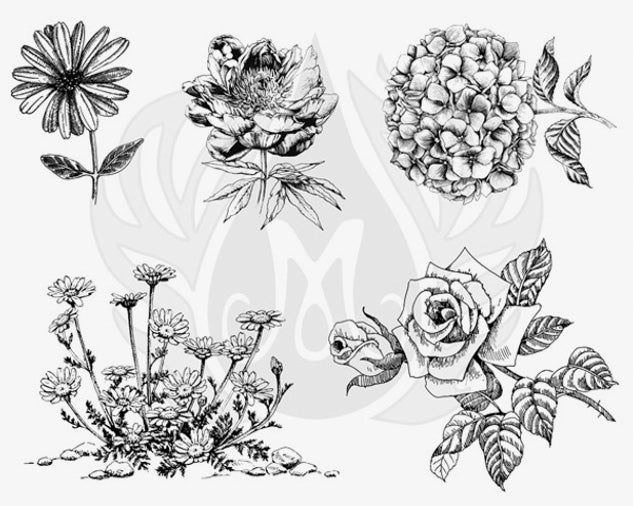 Mayco Designer Silk Screens - CLEARANCE!