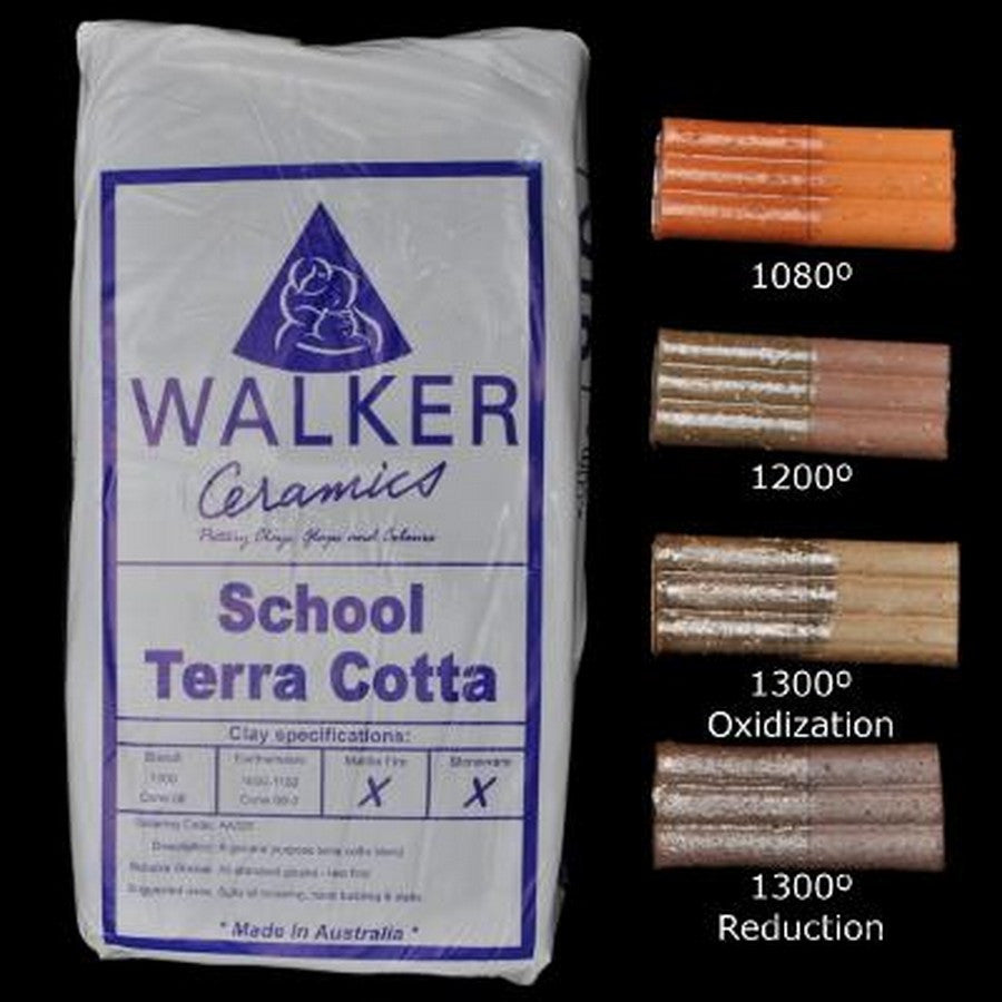Walker Ceramics School Terra Cotta