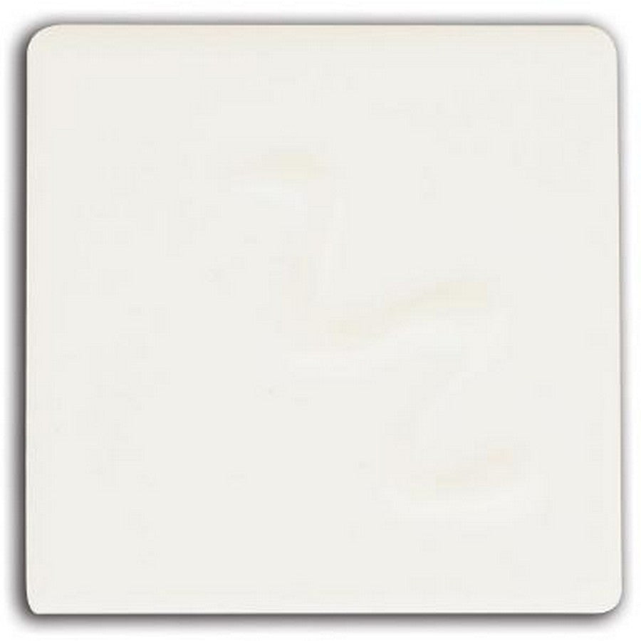 Walker Ceramics White Opaque (Majolica) Raku 980-1080