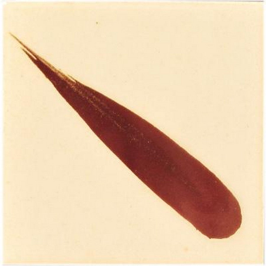 Walker Ceramics Ferric Oxide Brush On